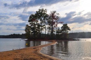 Shore of Lake Norman at sunset