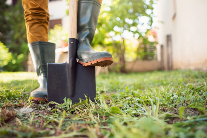 digging with a shovel stock image