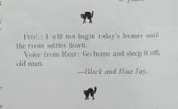 "Go Home" from the Yowl