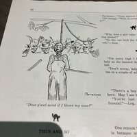 A crowd jeers at a lynched Black man with the caption, "does y'awls mind if I blows my nose?"