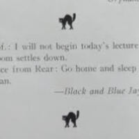 "Go Home" from the Yowl