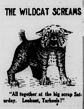 Davidsonian Wildcat