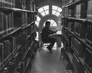 Quiet study in the library