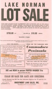 lake lot flyer