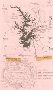 lake lot flyer