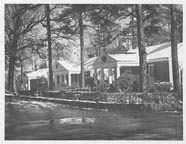 Three houses on Jackson Court in 1954 with tall pines