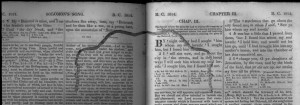 book worm trail in a bible