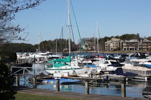 the lake influence both environmental groups and housing, a bunch of boats docked on lake norman with a few houses in the background