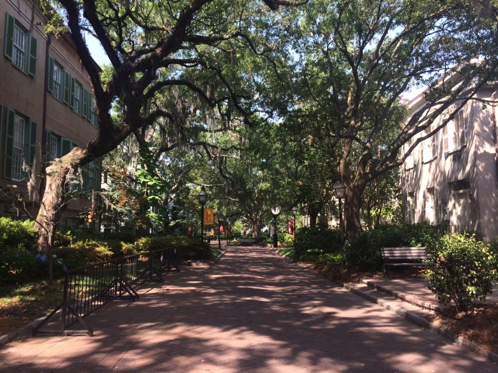 College of Charleston campus, June 22, 2014.