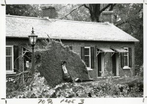 Student relaxing against tree after Hurricane Hugo