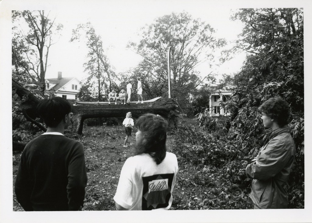 Students walk/sit on the trunk of a felled tree on campus.