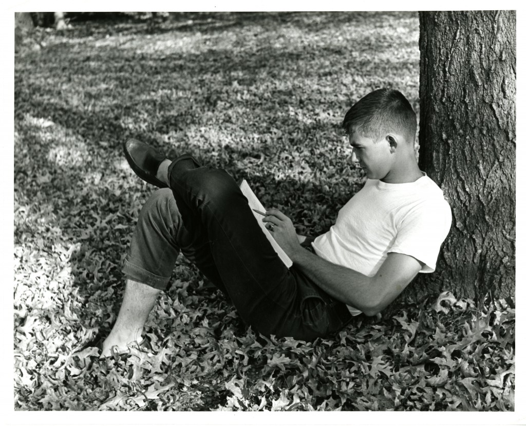 A student studies under a tree, amid a pile of fall leaves