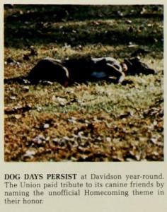 An image of a dog laying down in the grass with leaves all around and a caption that says, "Dog Days Persist at Davidson year-round. The Union paid tribute to its canine friends by naming the unofficial Homecoming theme in their honor."