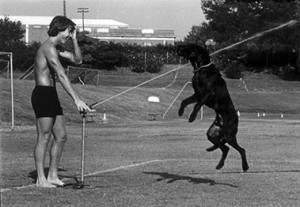 A man with just shorts no spraying a jumping black dog with water from a sprinkler