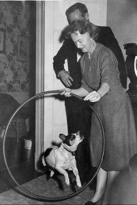 Presidential pup Jezebel jumping through a hoop held by a woman while a man watches