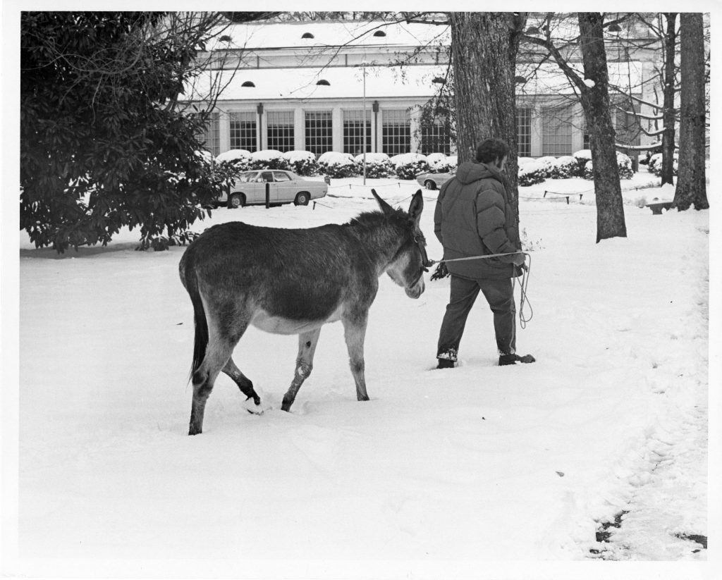 An unknown man leads a burro through the snow near Cunningham, December 1971.