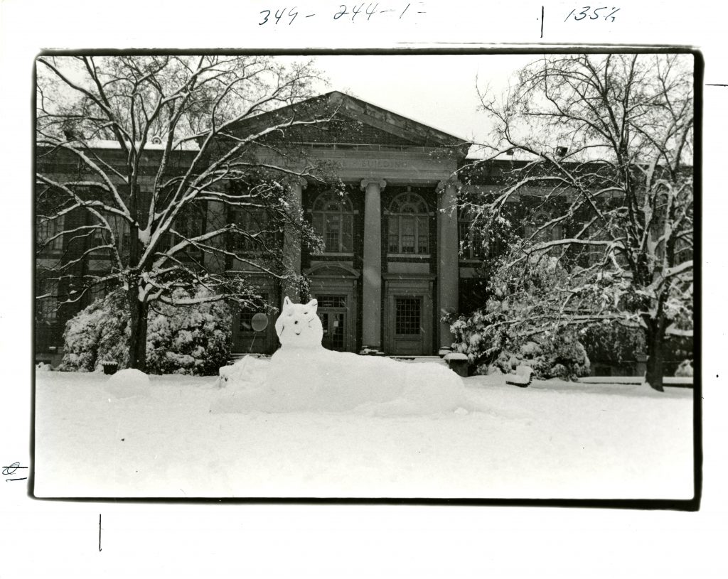 A Davidson Wildcat made out of snow! Martin Science Building, circa 1980s.