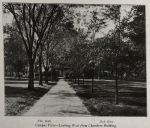 1903 Souvenir Album, Campus View Looking West from Chambers