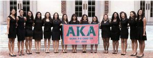 color photogrpah of 15 women of the AKA sorority in 2008