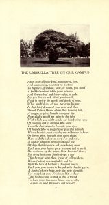 Umbrella Tree Poem from the 1909 Quips & Cranks, picture of the tree on top of the vertically oriented text.