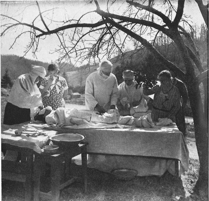 black and white image of operation under an apple tree