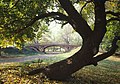 Gothic Bridge