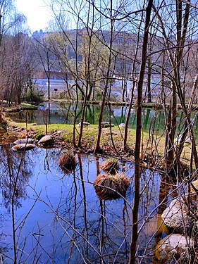 Laghetto di Fritz