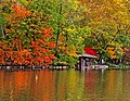 Look out point on the lake in autumn