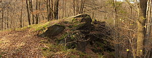 Felsen im Ost-Erzgebirge vermutlich bei Tharandt