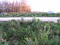 Jachère fleurie dans le parking de la gare de Besançon Franche-Comté TGV, parking dessiné de manière à préserver au mieux la forêt environnante