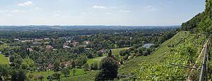 Blick auf Pillnitz