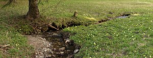 Wiese im Gimlitztal Nahe des Kalkwerkes