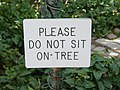 "Please do not sit on tree" sign at Temple Square.