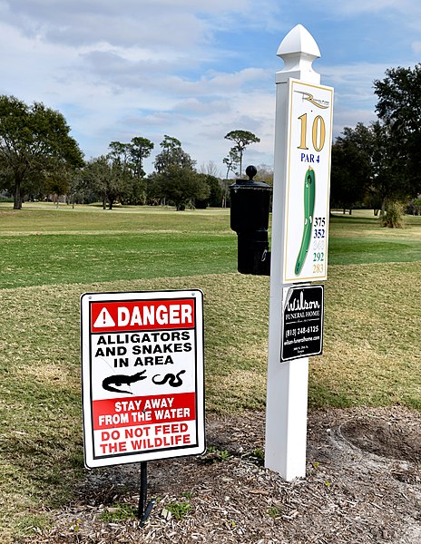 File:10th Hole.jpg