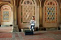 Violin player, below Bethesda Terrace in the Central Park.