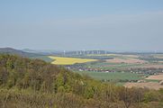 Aussicht vom König-Friedrich-August-Turm