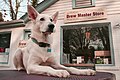 Brew Master Store