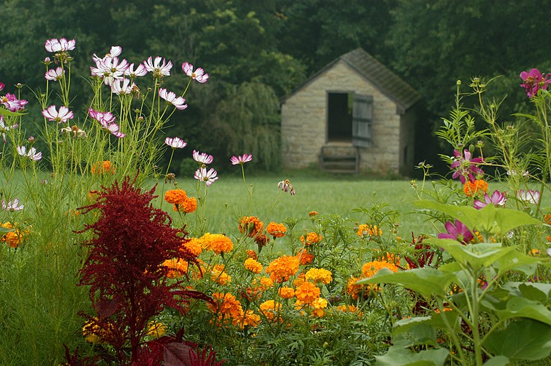 File:002-181904-LocustGroveKY.jpg
