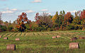 A hayfield in Geneseo, New York, in the autumn